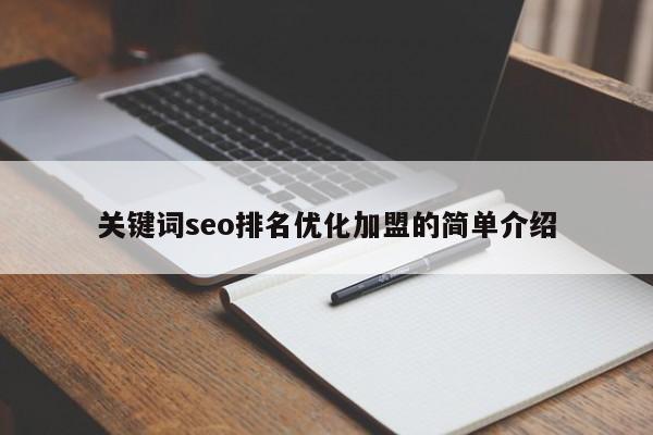 关键词seo排名优化加盟的简单介绍