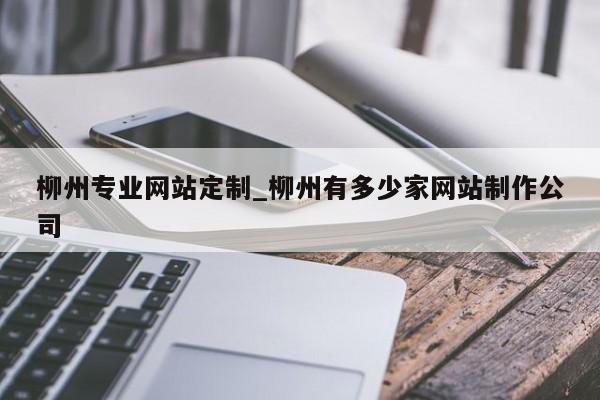 柳州专业网站定制_柳州有多少家网站制作公司